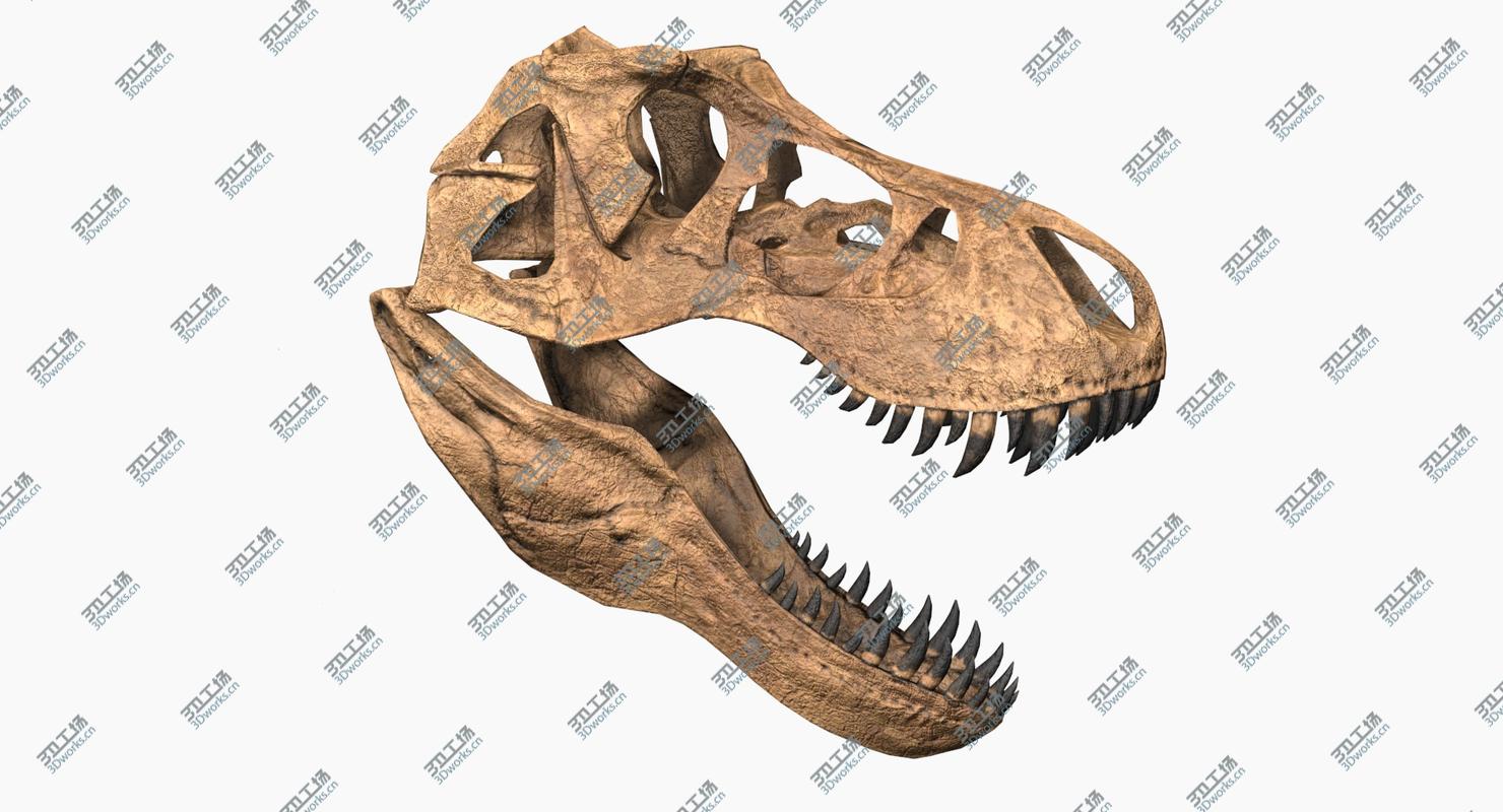 images/goods_img/202104091/3D Tyrannosaurus Rex Skeleton/5.jpg